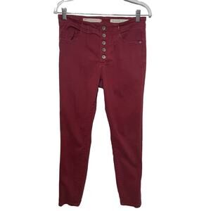 Pilcro and the Letterpress Anthropologie High Rise‎ Skinny Button Fly Pants 29